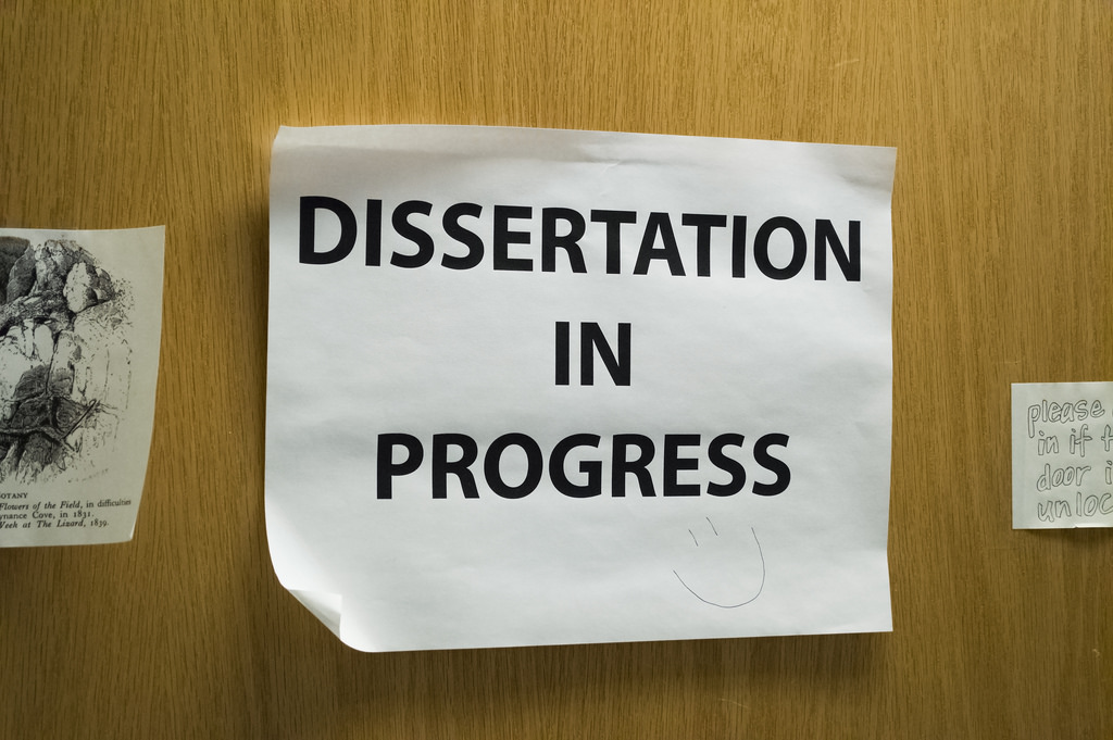 Dissertation health care reform