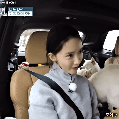 효리네민박 시즌2 1화 새직원 임윤아.gif | 인스티즈