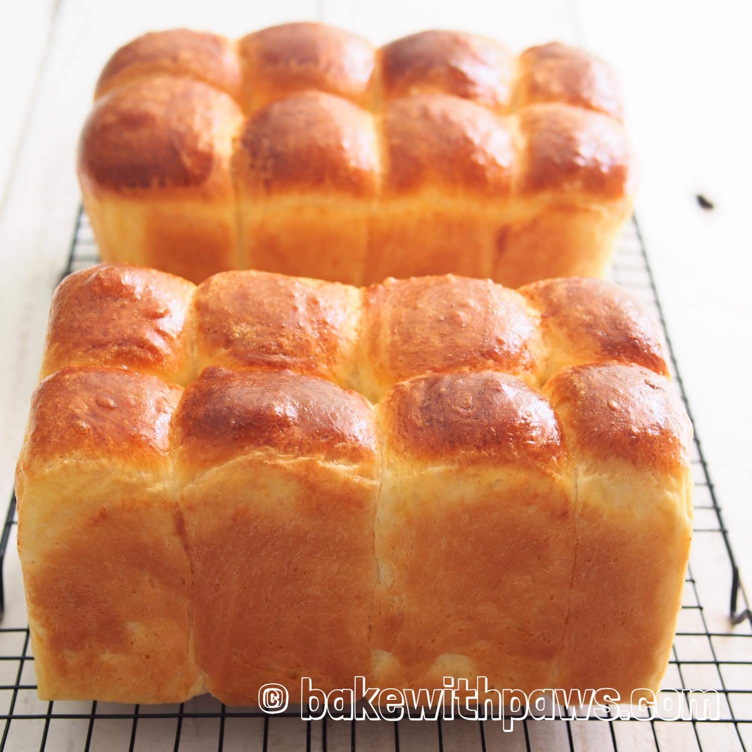 Brioche BAKE WITH PAWS