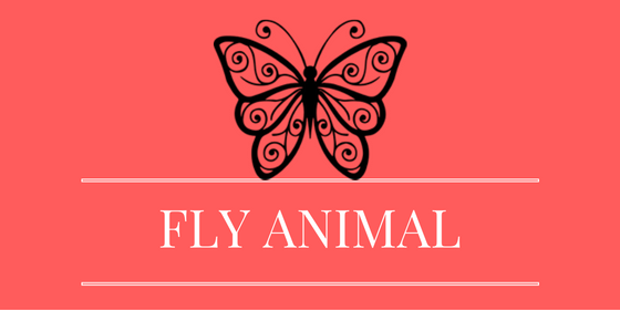 Hewan Dalam Bahasa Inggris yang berakhiran 'Fly' - De Eka