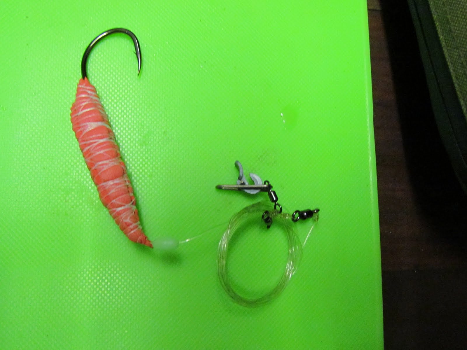 Angling Combination of chokka and sardine for kob bait