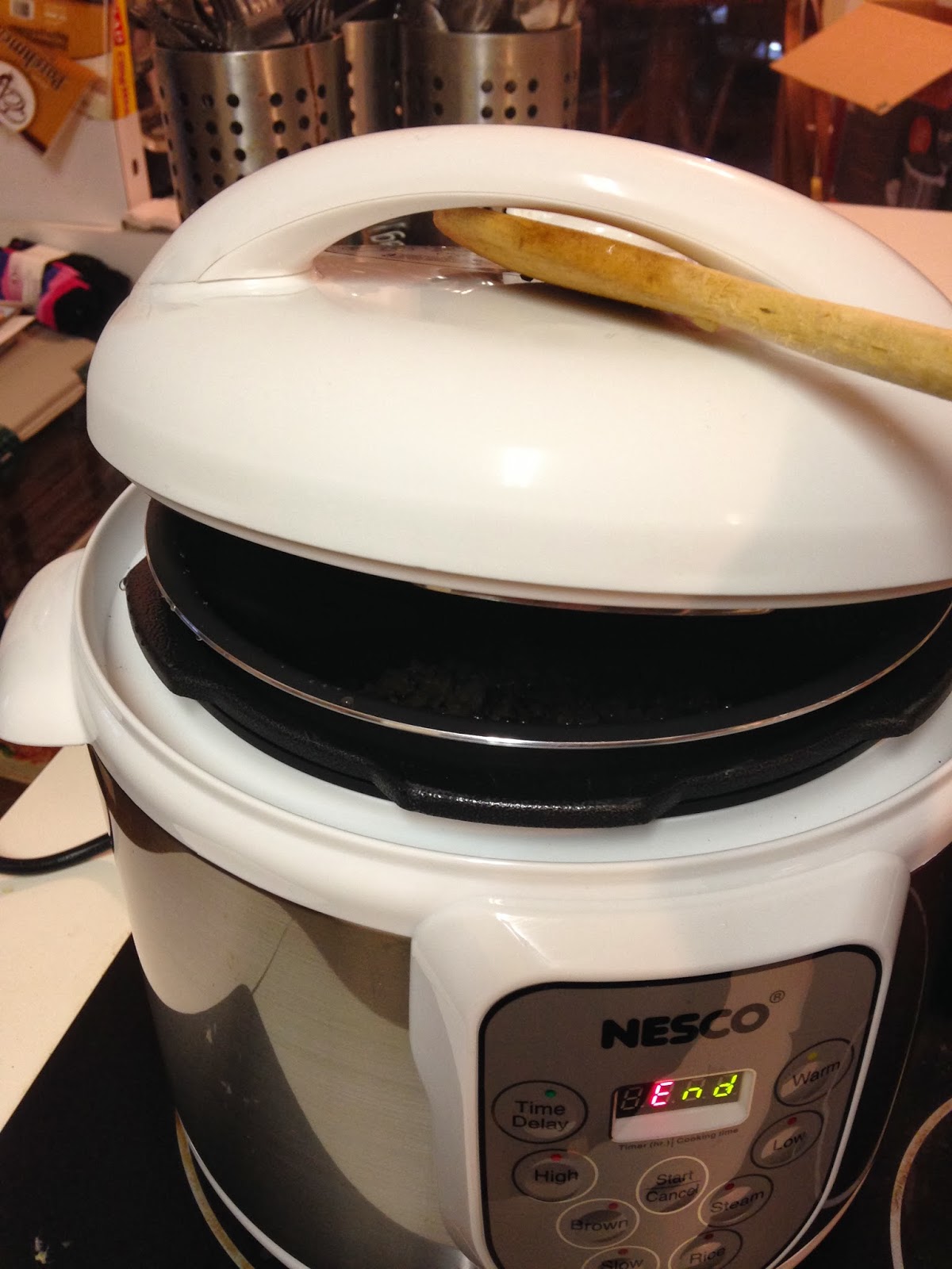 Tracy Cooks in Austin: THE NEW NESCO PRESSURE COOKER
