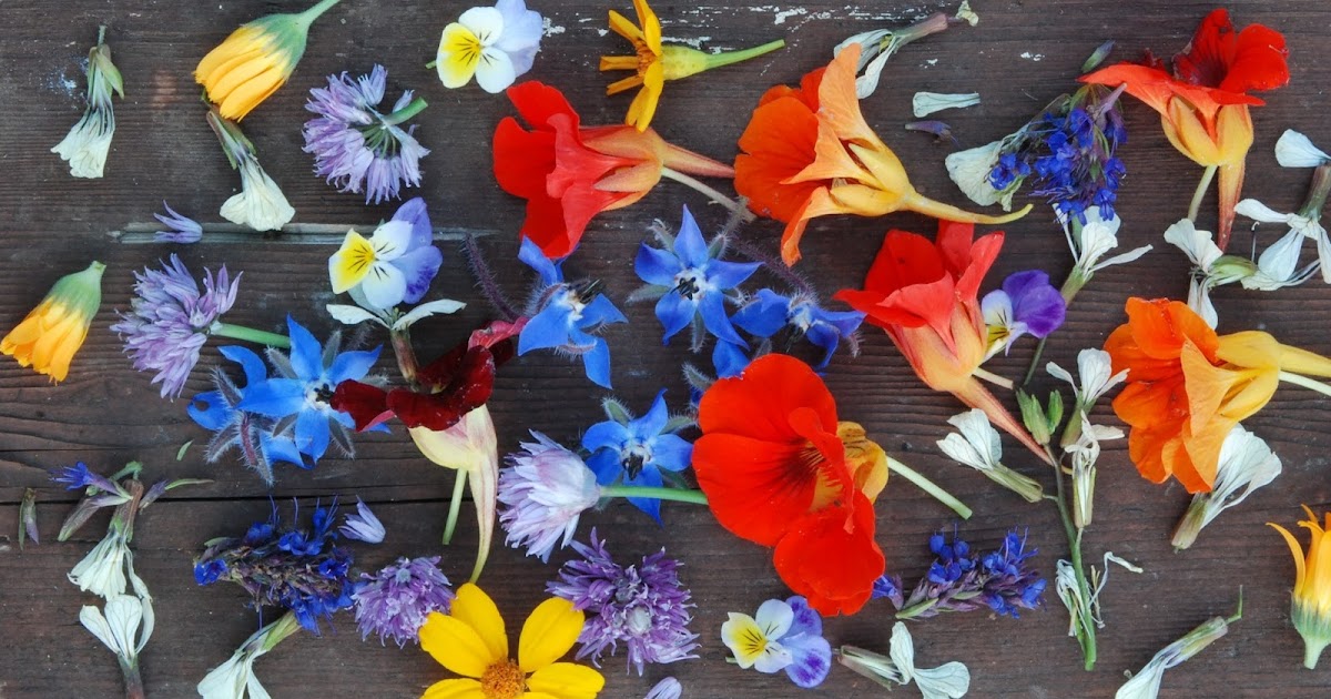 TASK 3 COMMODITIES "EDIBLE FLOWER"