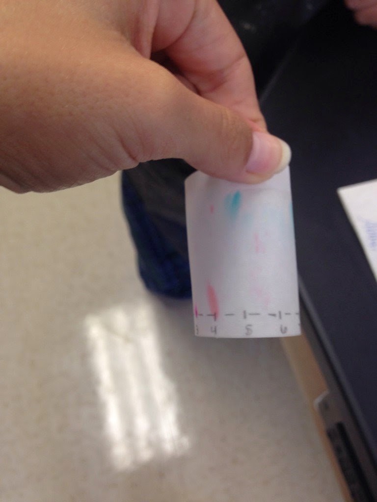 Becca AP Chem Chromatography Lab