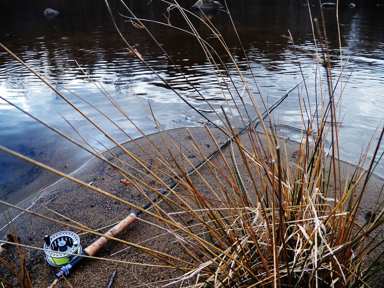 Connecticut Fly Angler River Herring, 2 for 3 in Carp Outings, and