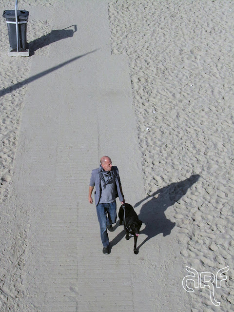 man with dog on the beach