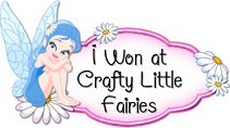 Crafty Little Fairies Winner