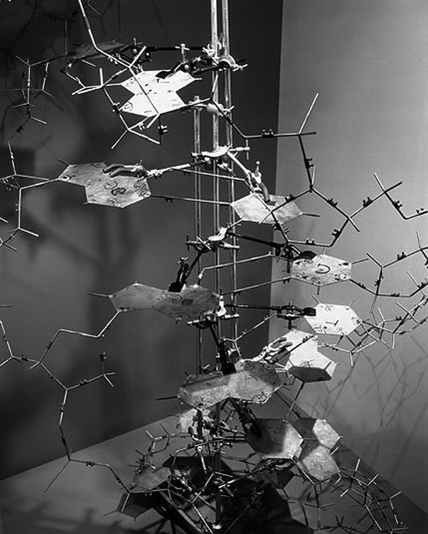 Scientific Discoveries 1950's onwards: The discovery of the Double Helix