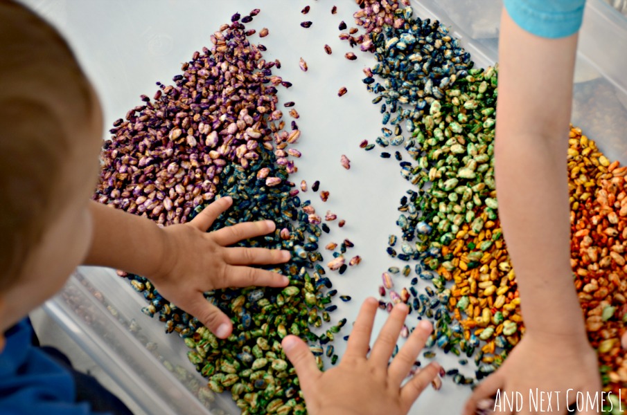 Playing with rainbow dyed puffed wheat cereal - a fun sensory play idea for toddlers & preschoolers from And Next Comes L