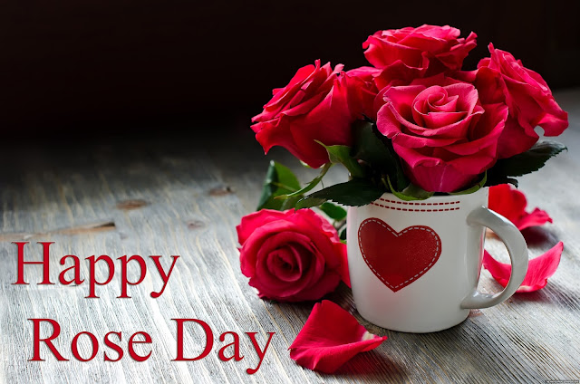 rose day 2017 rose day 2017