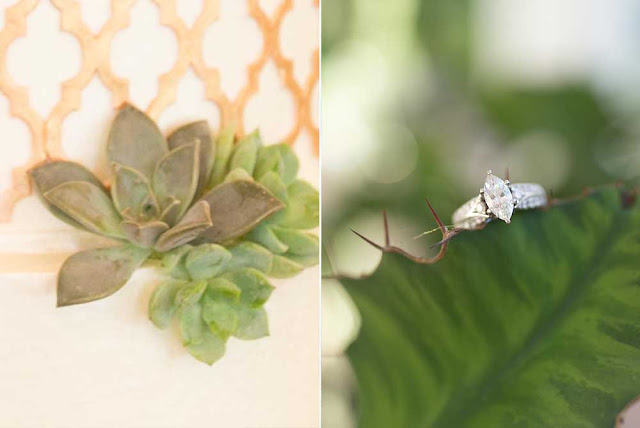 Bay City Texas Wedding Photographer, Houston Wedding Photographer, Texas Weddings