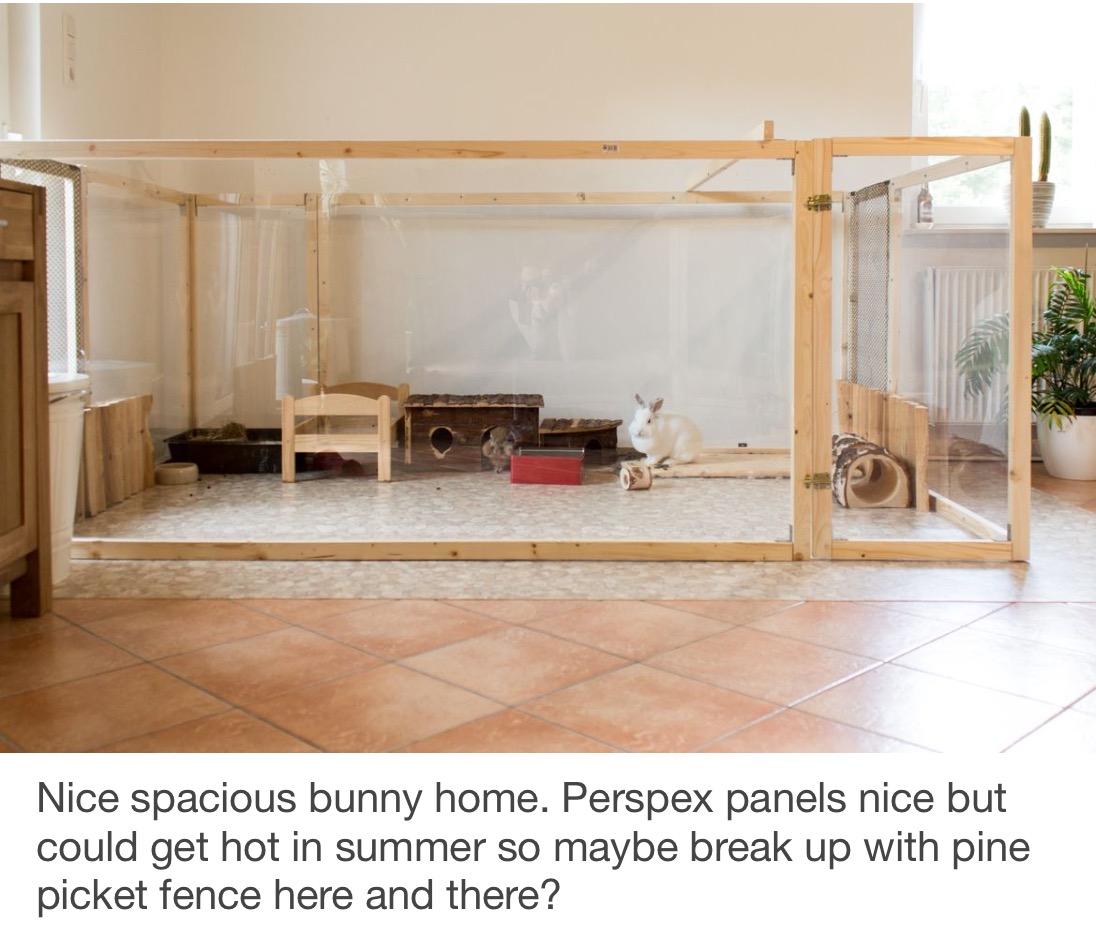 HOUSING YOUR PET RABBIT INDOOR RABBIT PLAYPENS Rabbit Rescue Sanctuary