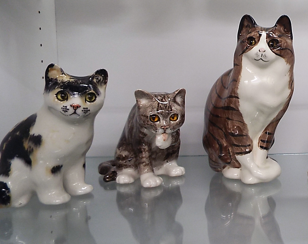The Cuddlywumps Cat Chronicles Cat Travel American Museum Of The House Cat