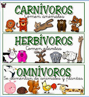 Resultado de imagen de clasificacion de los animales para niños