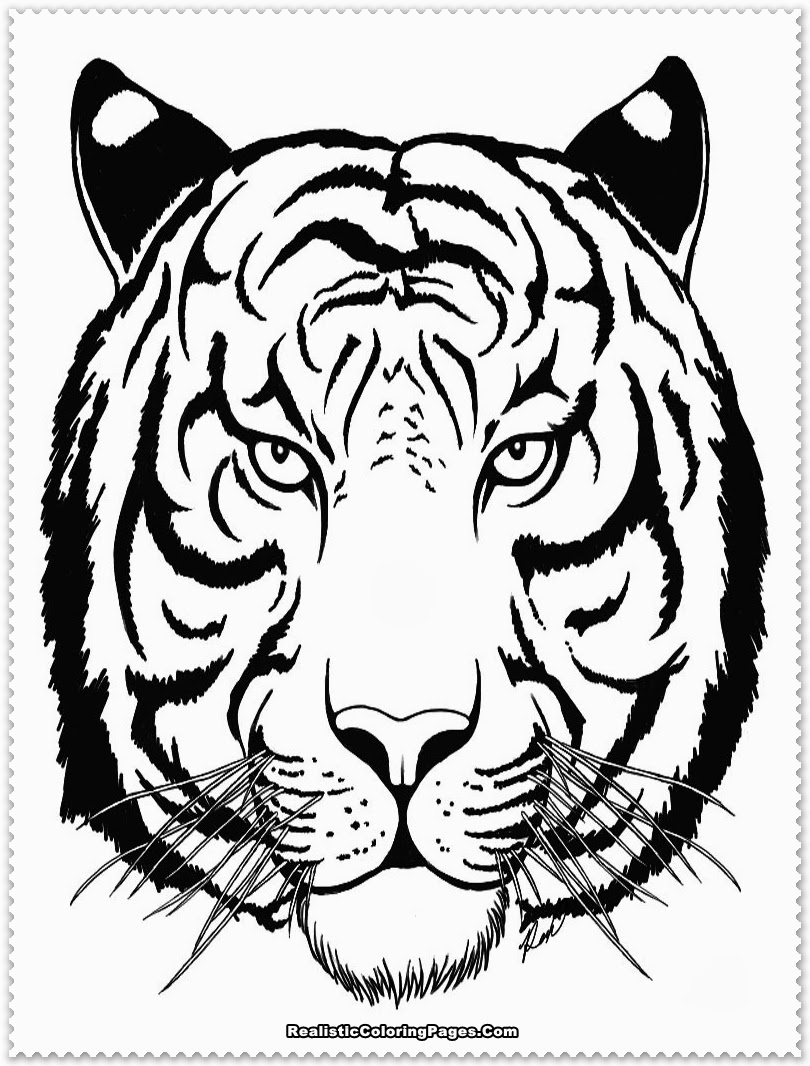 realistic-tiger-coloring-pages-realistic-coloring-pages