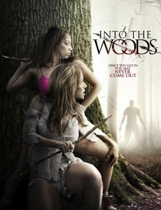 مشاهدة وتحميل فيلم Into The Woods 2012 مترجم اون لاين