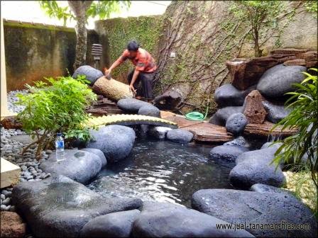 Desain Kolam Minimalis Terbaru | Project Pembuatan Kolam Di Tangerang