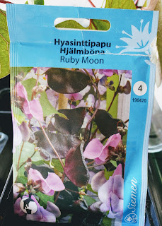 Hyasinttipapu Ruby Moon Lablab purpureus siemenet