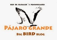 proyecto PÁJARO GRANDE