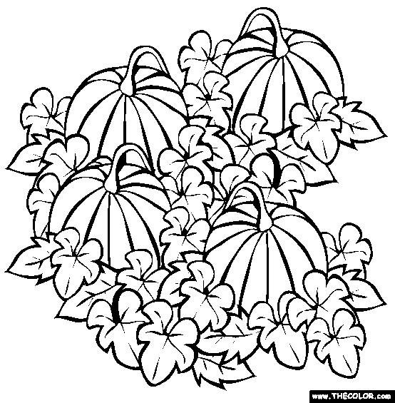 Transmissionpress Pumpkin Patch Coloring Page Transmissionpress Pumpkin Patch Coloring Page