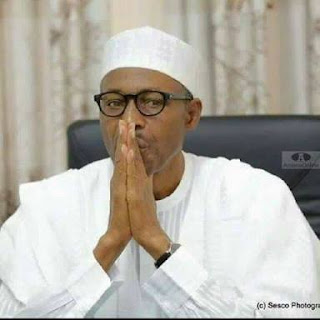 The Highs and Lows Of Mohammadu Buhari’s Government So Far