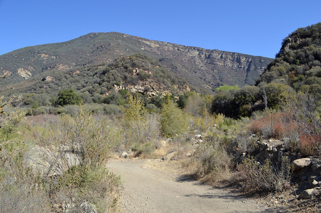 dry creek crossing