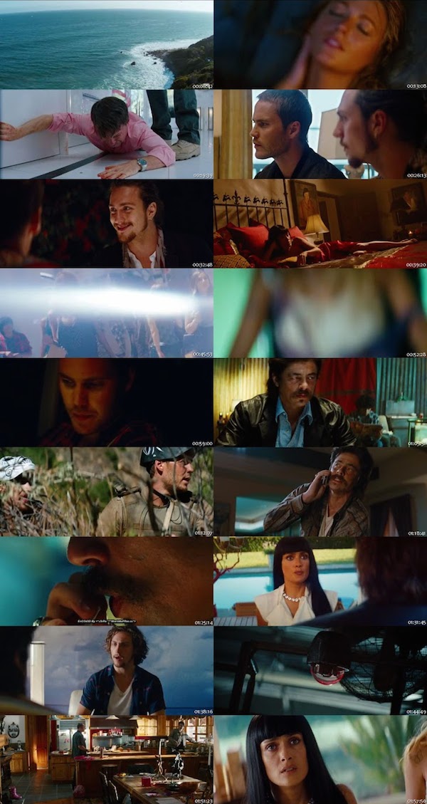 Savages 2012 Dual Audio Hindi English BRRip 480p Savages 2012 Dual Audio Hindi English BRRip 480p