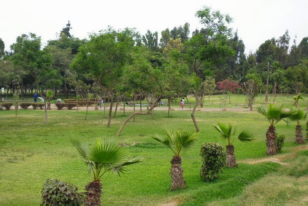 LUGARES TURÍSTICOS EN PERÚ: FOTOS DEL PARQUE SINCHI ROCA DE COMAS