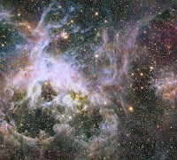 Tarantula Nebula in the Infrared