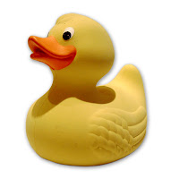 duck.jpg