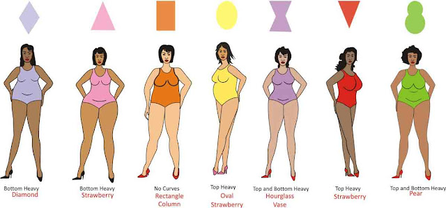 Image result for body shapes