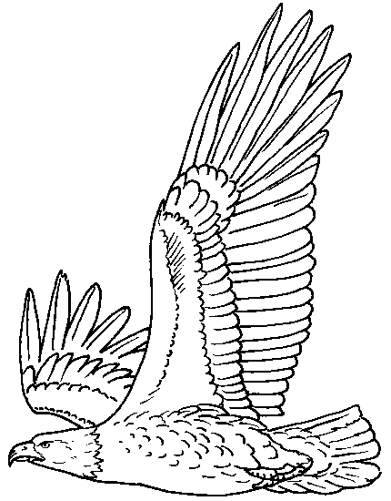 eagle coloring pages to print out - photo #29