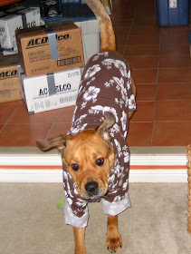 pyjama dog costume - turltesandtails.blogspot.com