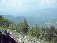 via degli abati cammino