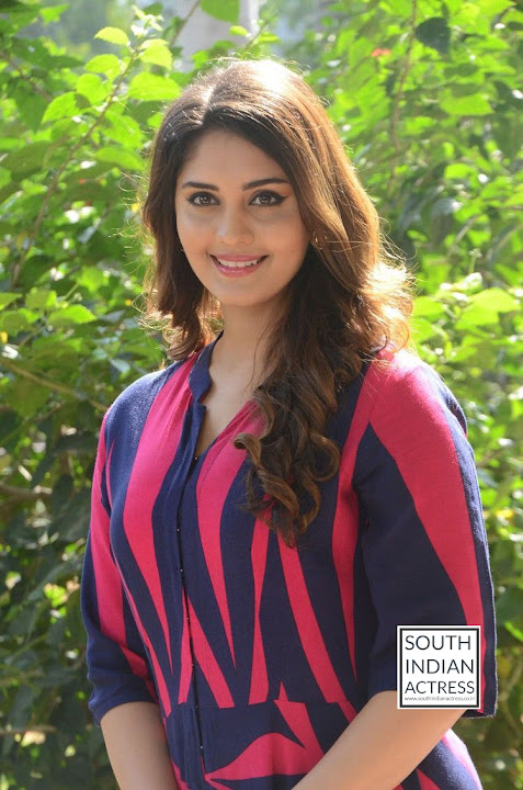 Surbhi at Okka Kshanam Movie Teaser Launch