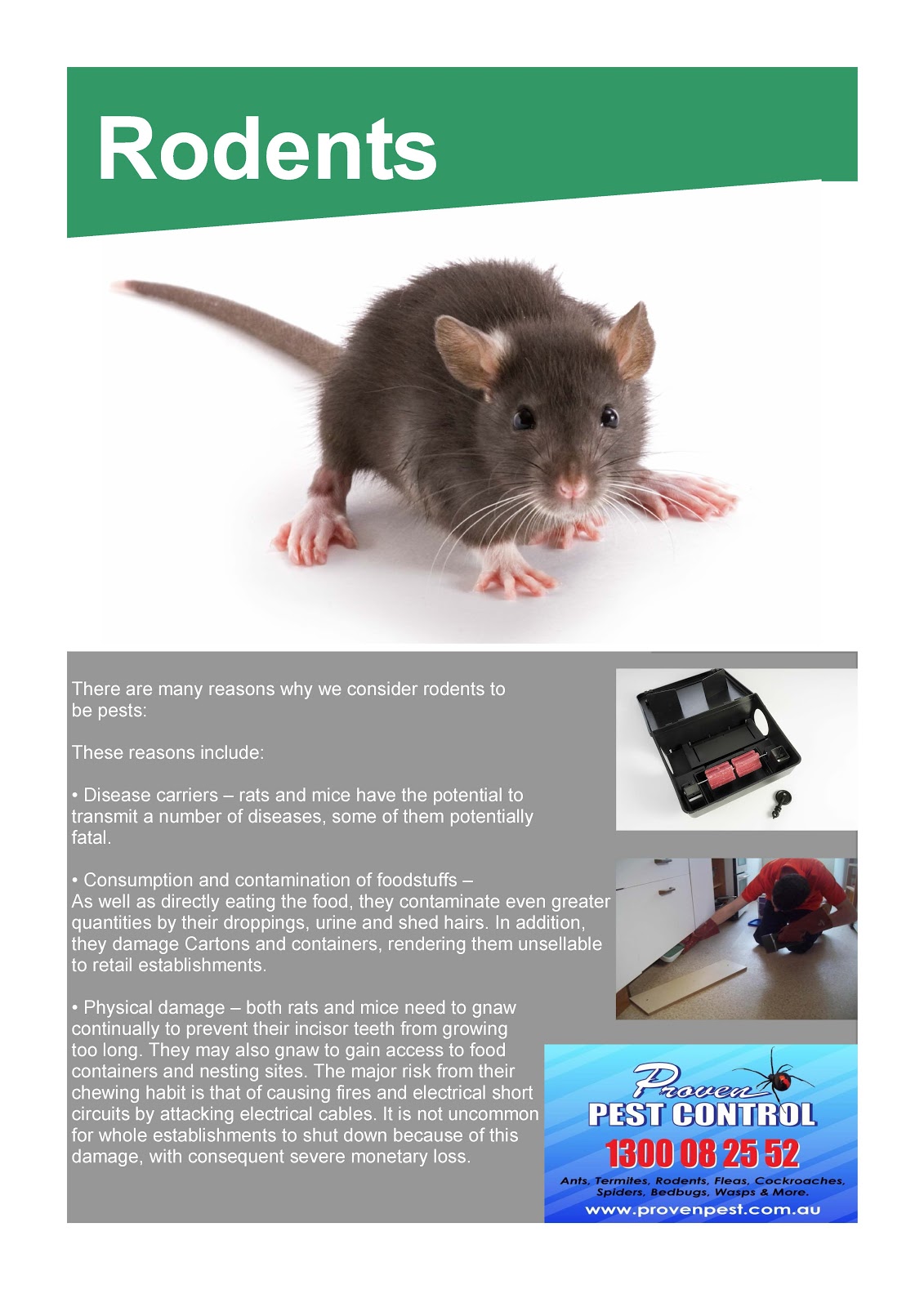 Proven Pest Control Pest Control Rodent Helpful Hints