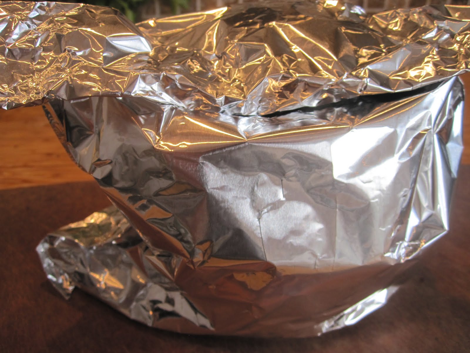 Food Devil Fish in TinFoil