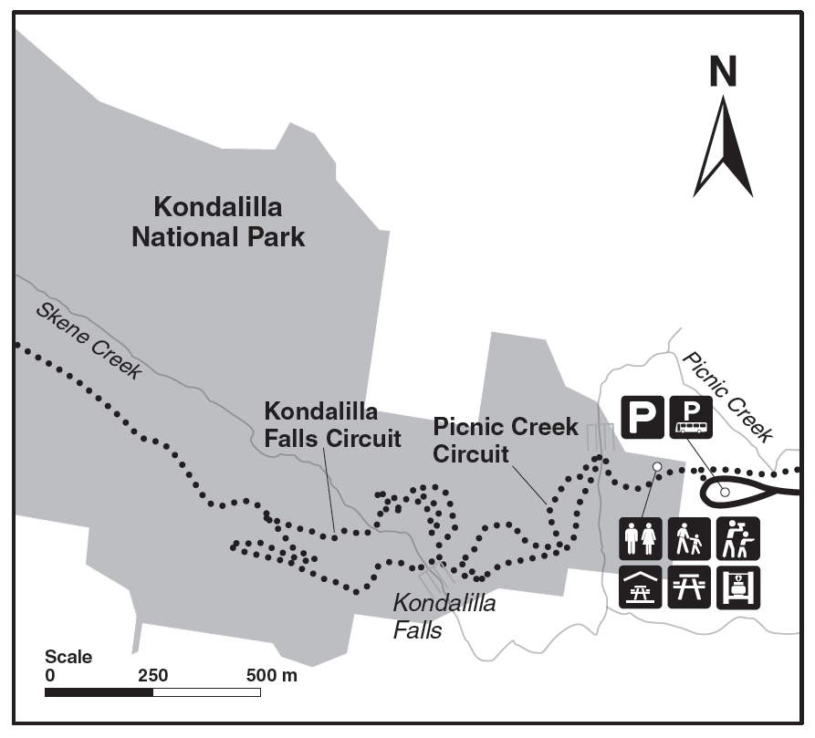 Brisbane-national-park-hiking-mountain-climbing-best-recommendation-Kondalilla-National-Park