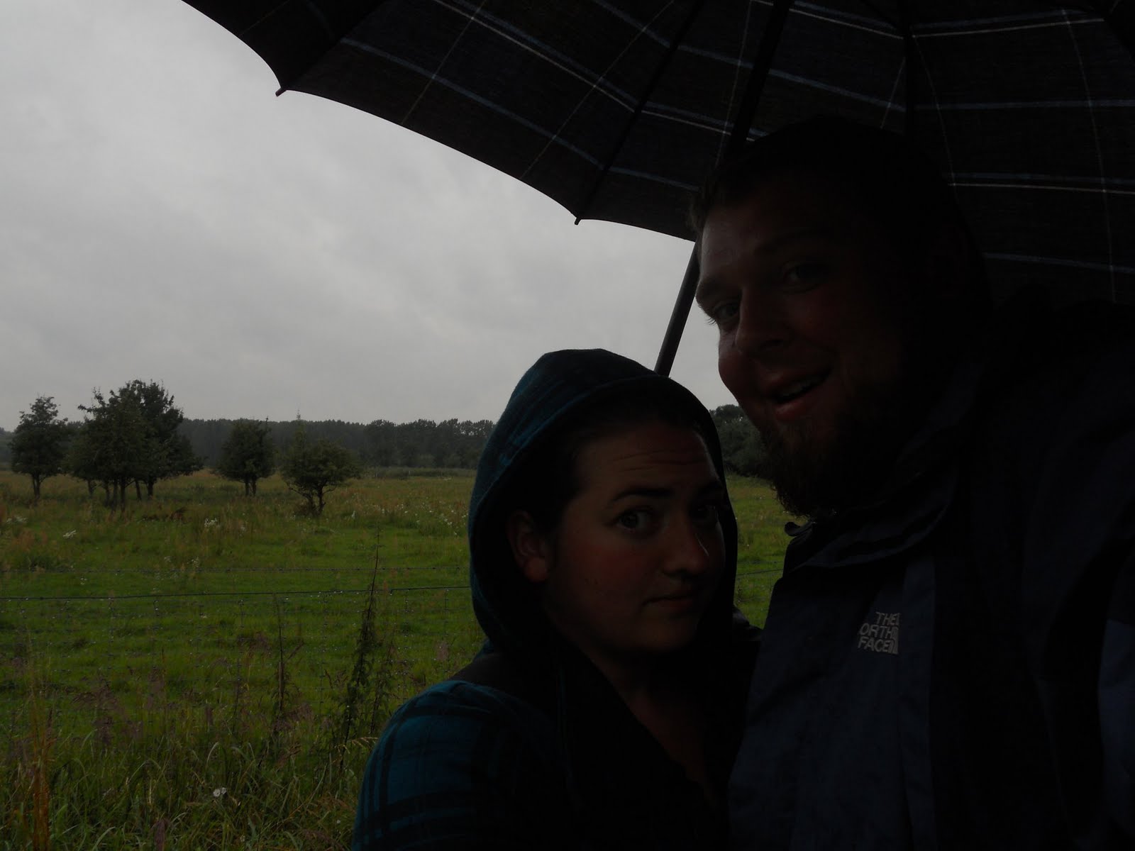 Back to Berlin...and BEYOND Adopting a Pet in Berlin