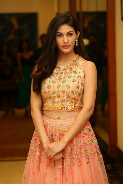 Amyra dastur hot navel pics in traditional dress