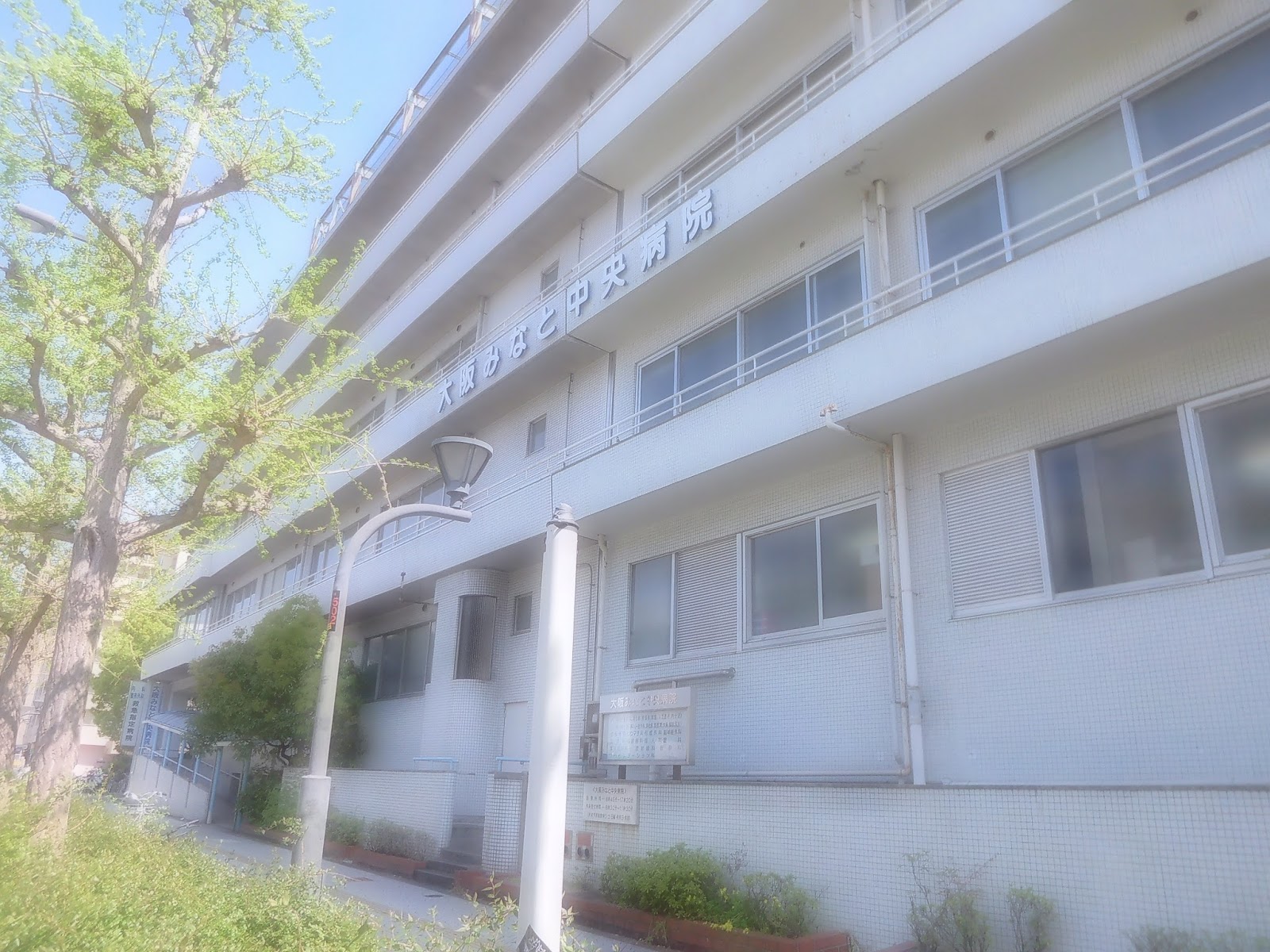 N2 blog 夏の気配