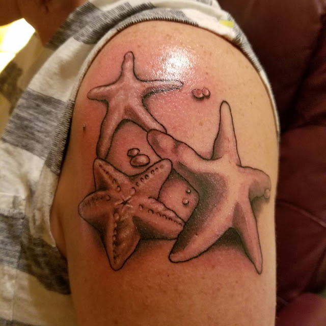 Tatuagens de estrela do mar Tatuagens de estrela do mar