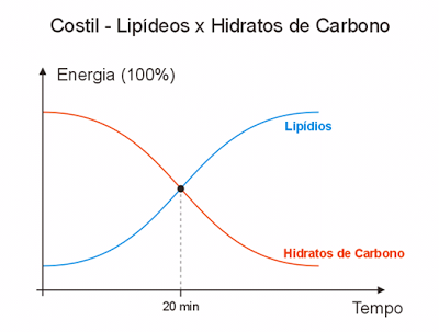 gr%C3%A1fico+costill.PNG