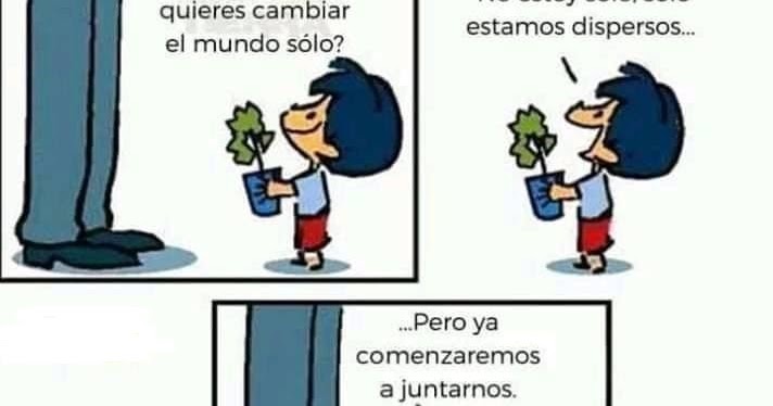 El Plan A: Del patio a tu mesa