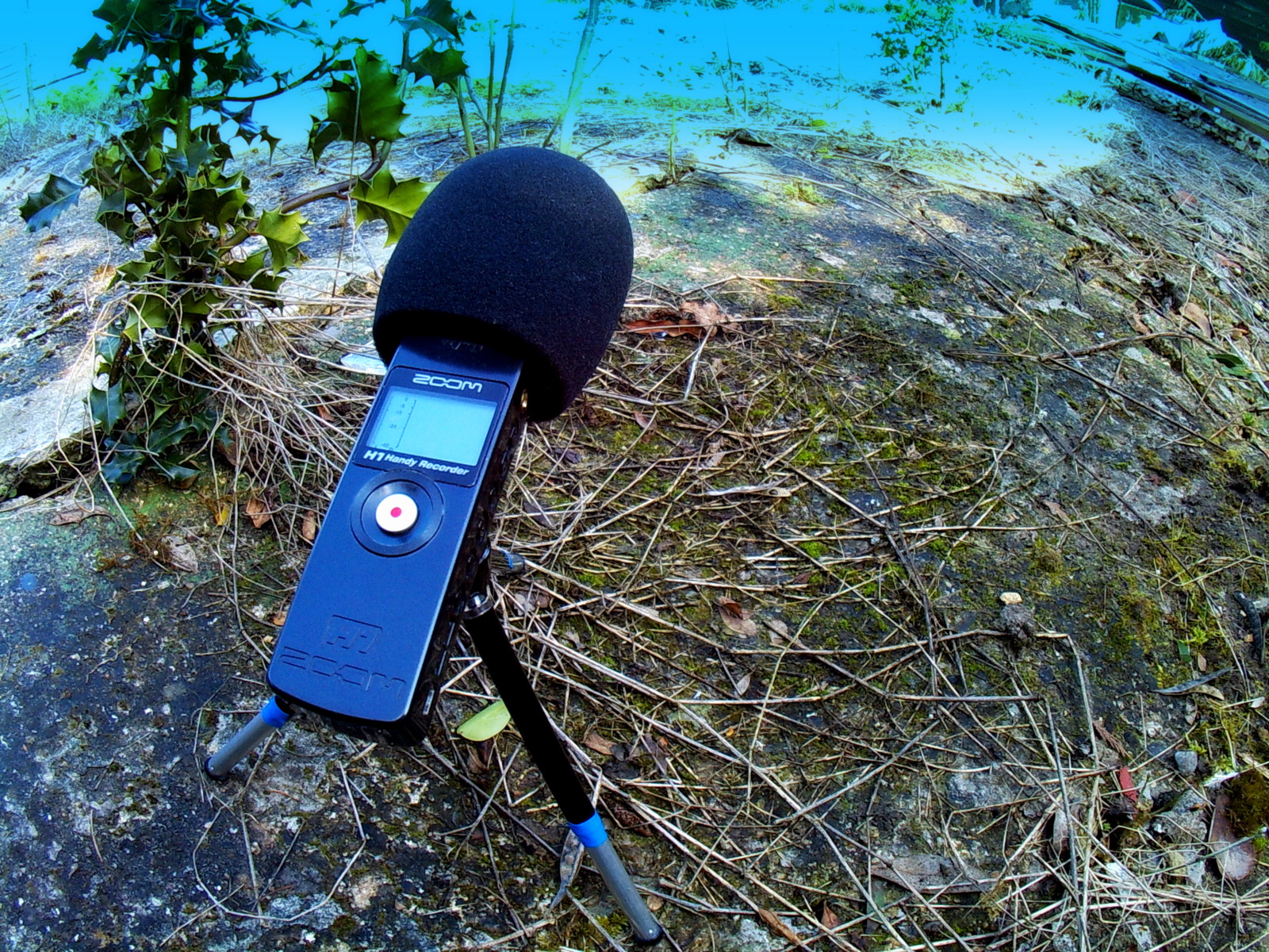 mike downes we make videos to help people learn How to use a Zoom H1