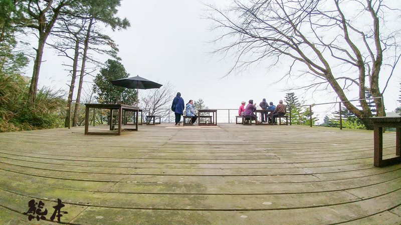 台灣農林熊空茶園|熊空茶園櫻花園|三峽櫻花季