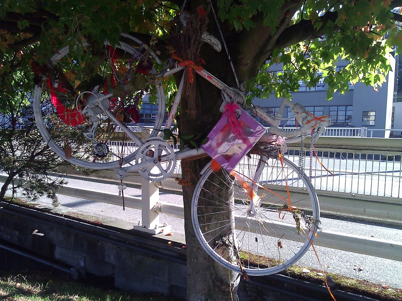 how to ride up stairs on a mountain bike
