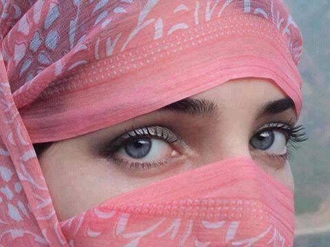 Dasi Girls: Dasi Girls