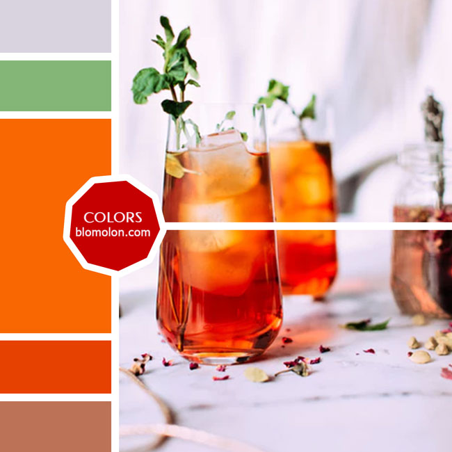 variedad en color moodboard 45 variedad_en_color_moodboard_45