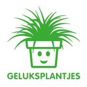 Geluksplant